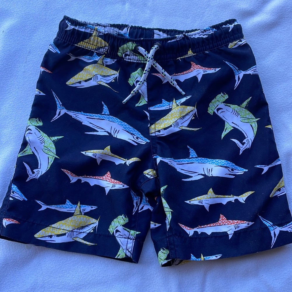 Land’s End Swim-trunks Size Small (4)